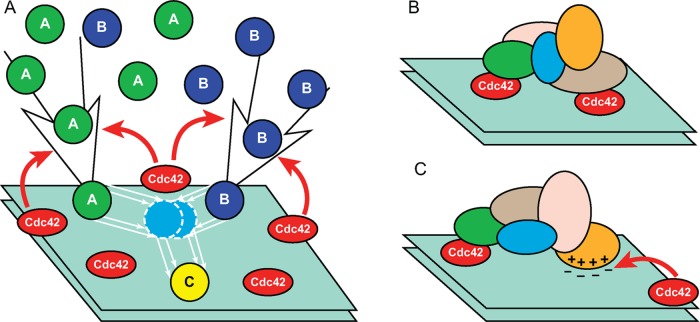 FIGURE 2: