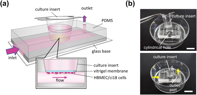 FIG. 1.