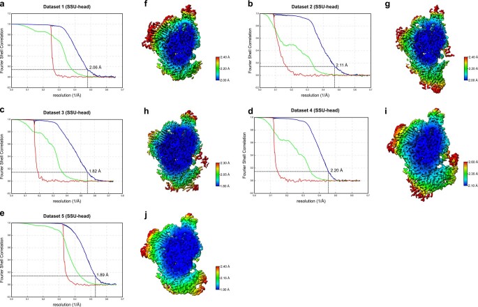 Extended Data Fig. 2