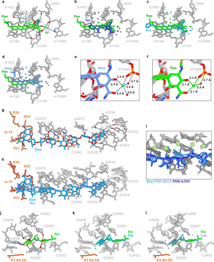 Extended Data Fig 8