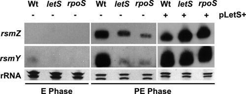 FIG. 5.