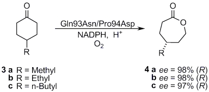 Scheme 2.