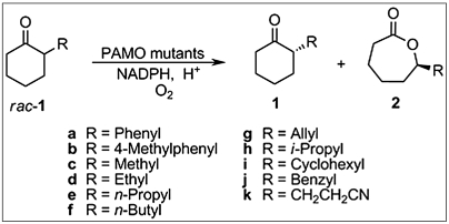 Scheme 1.