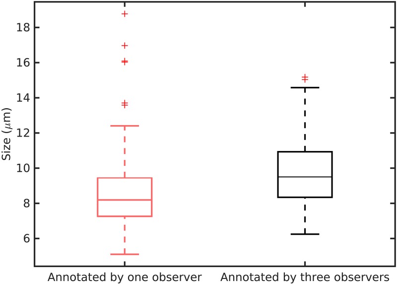 Fig 5