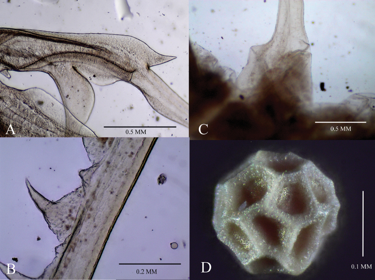 Figure 4.