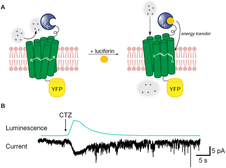 Figure 6.