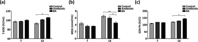 FIG 6