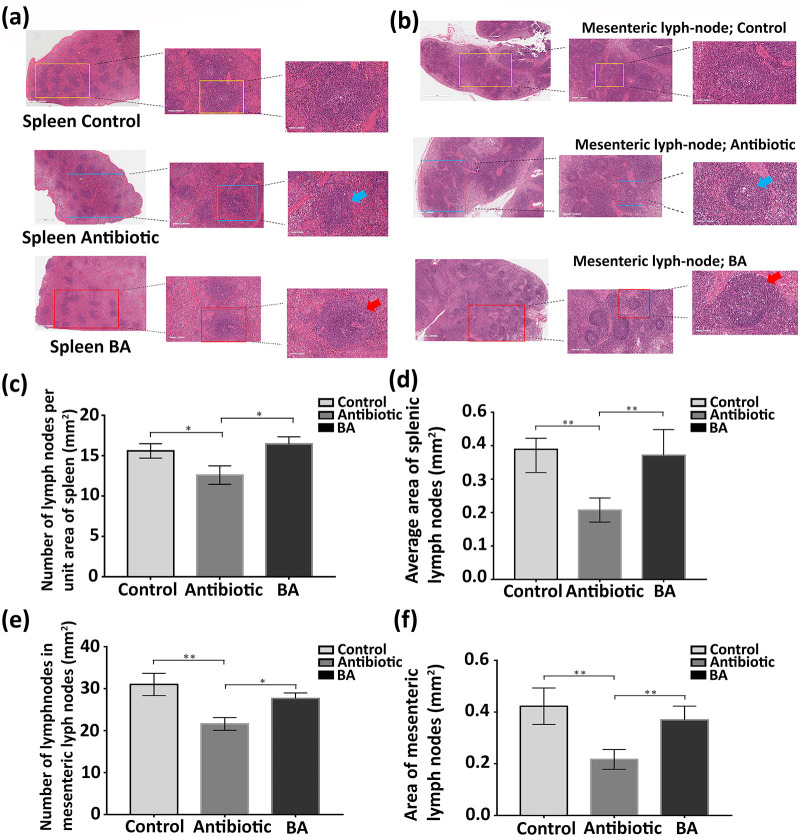 FIG 10