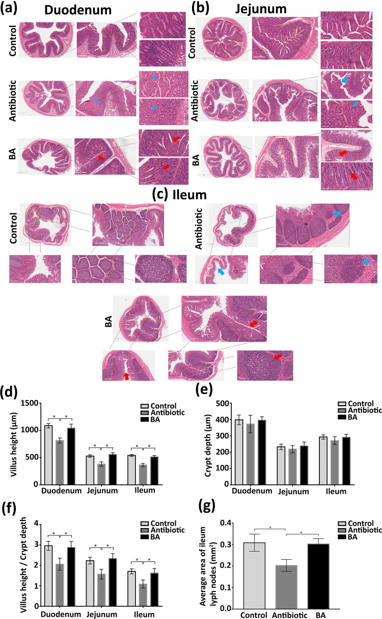 FIG 11