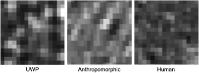 Fig. 12