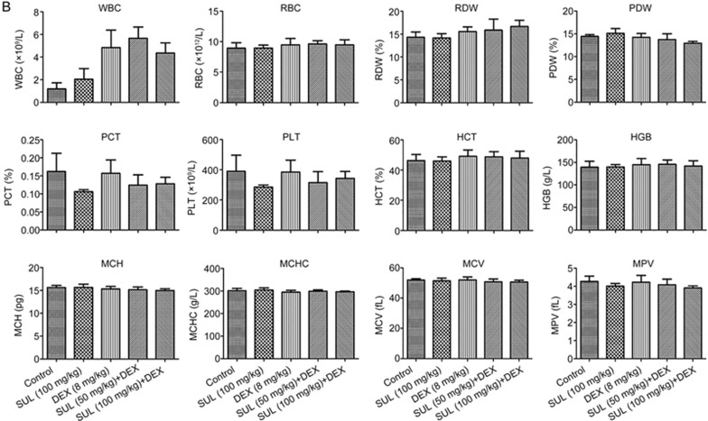 Figure 2B