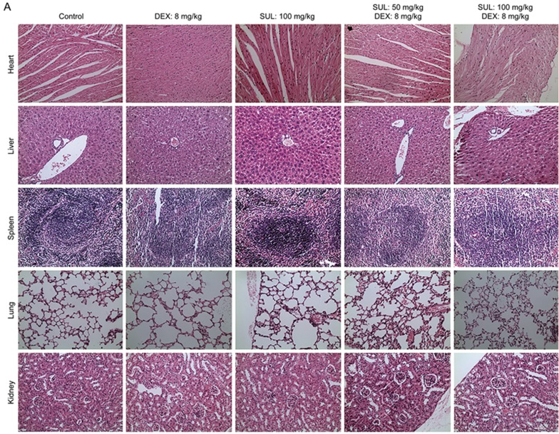 Figure 2A