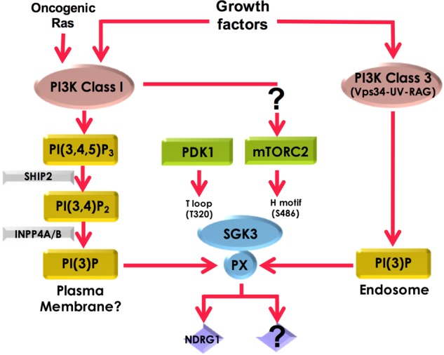 Figure 10.