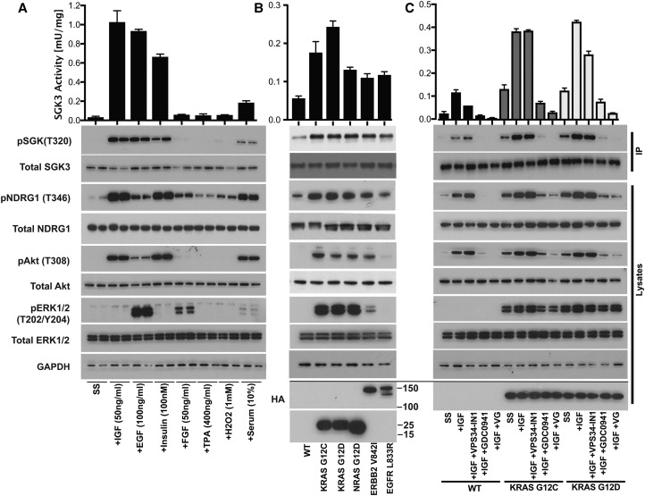 Figure 3.