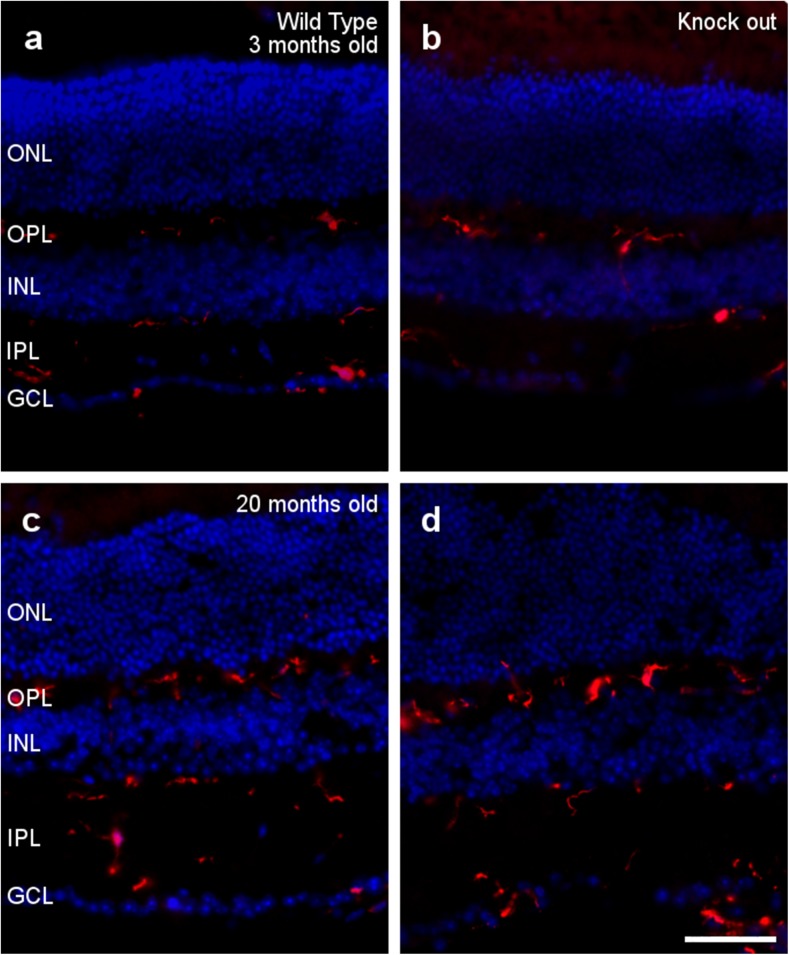 Fig. 4