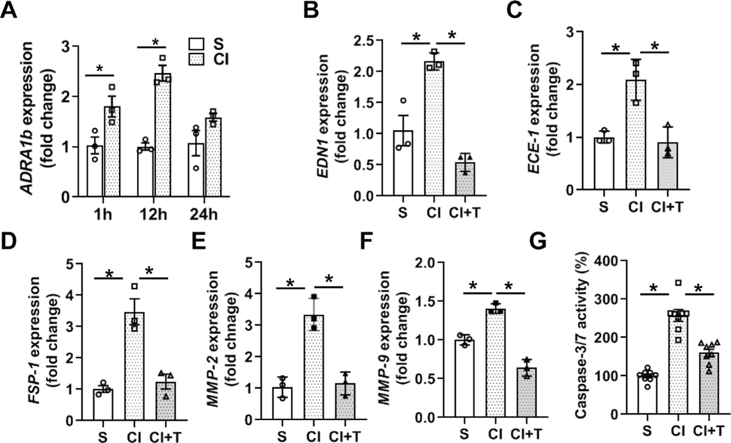 Fig 8.