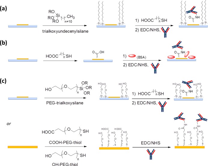 Scheme 5