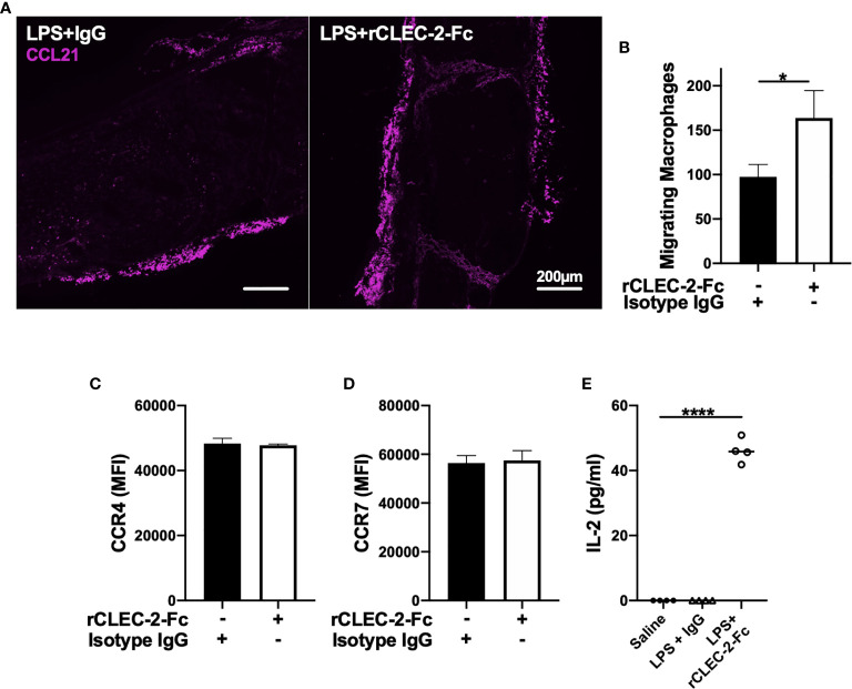 Figure 6