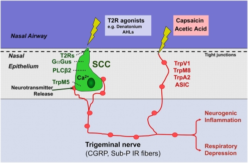 Fig. 4.