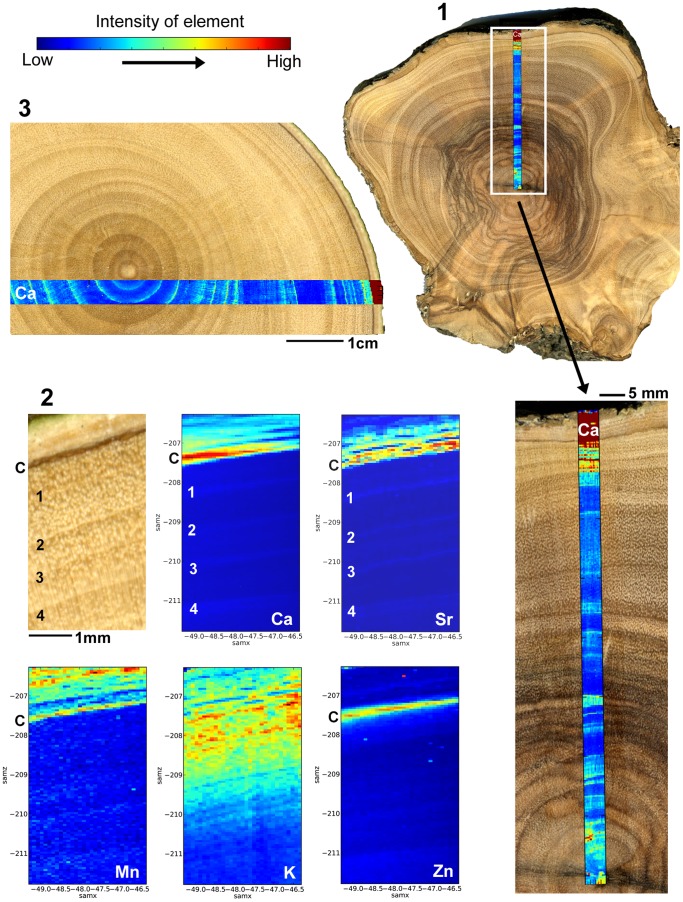 Figure 2