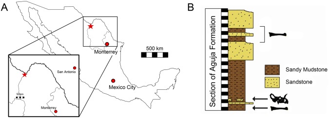 Fig 2