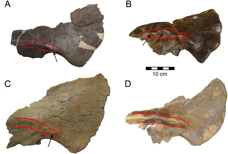 Fig 14