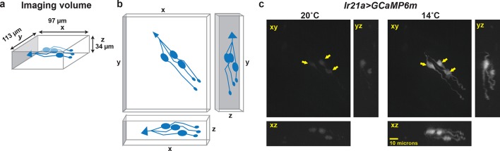 Figure 1—figure supplement 2.