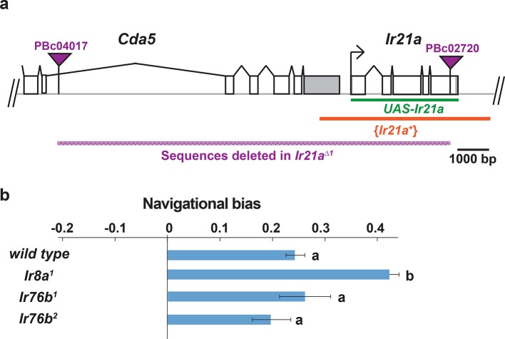 Figure 2—figure supplement 1.