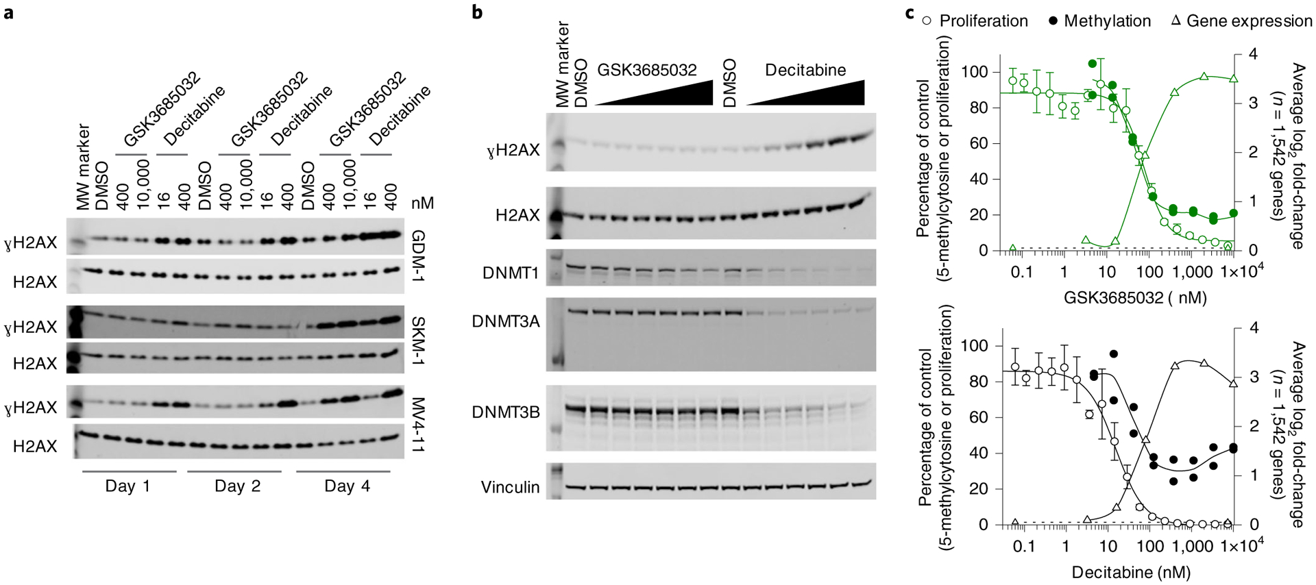 Fig. 7 |