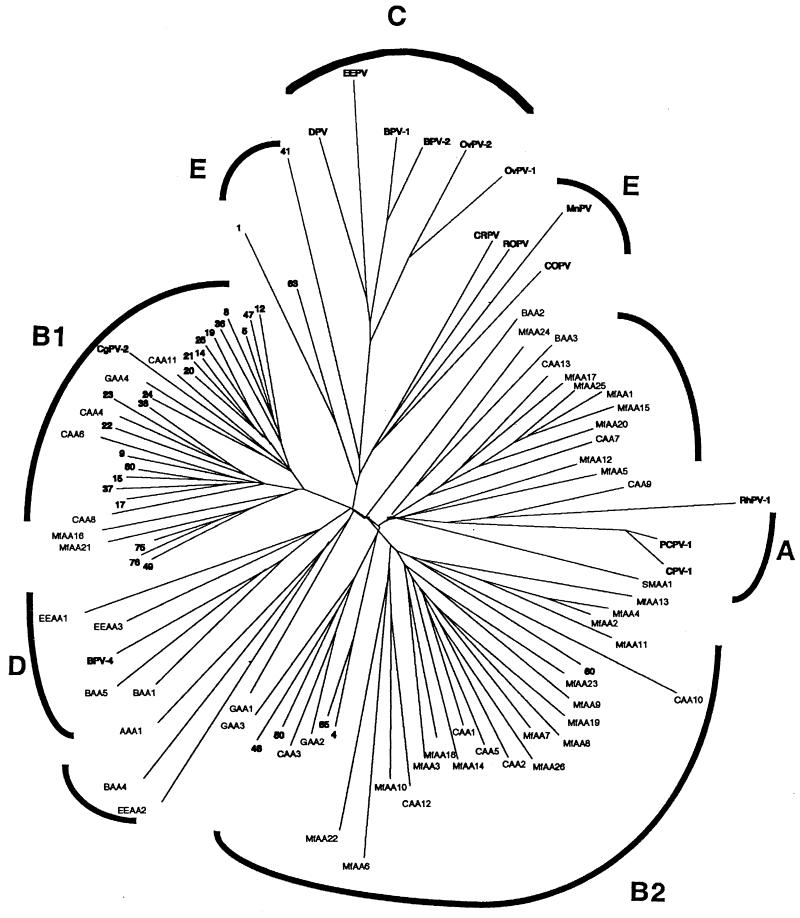 FIG. 1.