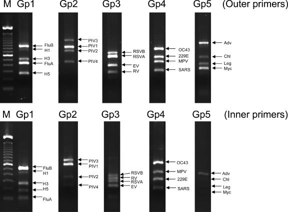 FIG. 2.