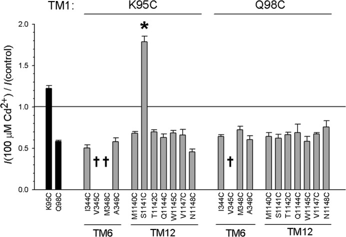 FIGURE 7.