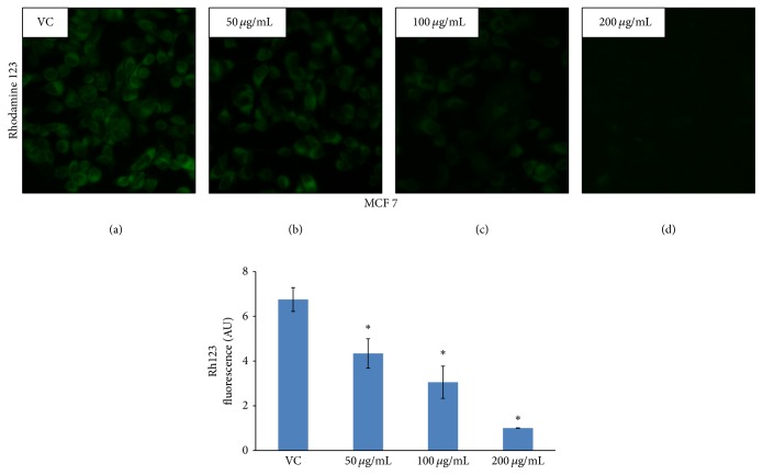 Figure 7