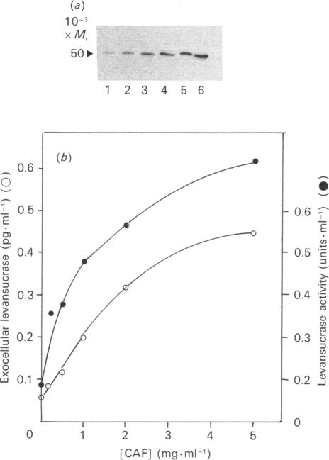 Fig. 9.