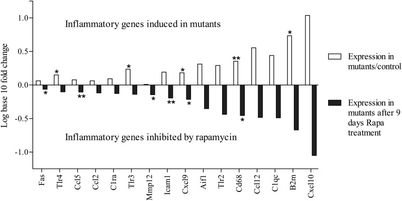 Figure 6.