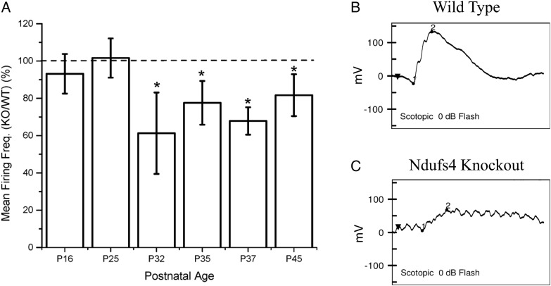 Figure 1.