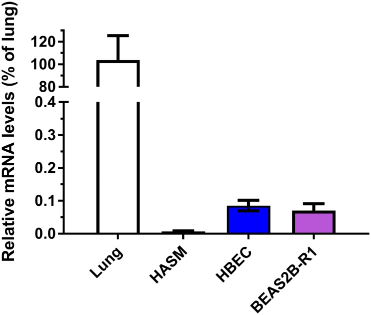 Fig 4