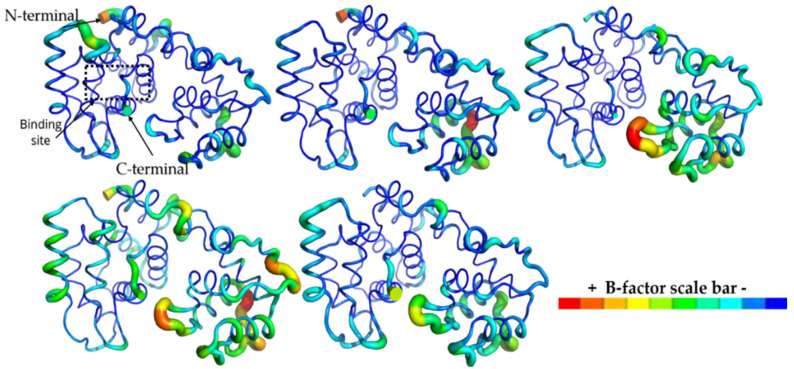 Figure 11