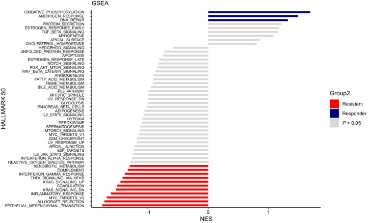 Figure 4. GSEA identifies DEG sets in responder tumors compared with nonresponder tumors in Arms A and B. GSEA results for NES versus the total list of GSEA hallmark upregulated (in blue lines) and downregulated (in red lines) categories, with significantly enriched terms (P < 0.05) among non-enriched (P ≥ 0.05, in grey lines). The GSEA analysis was performed using the “fgsea” package in R for the hallmark collection (H; Broad Institute), with n = 1,000 permutations. DN, downregulated; KRAS, Kirsten rat sarcoma virus; NES, normalization enrichment score; WNT, Wingless Int-1.