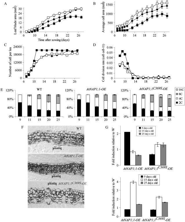 Figure 6.