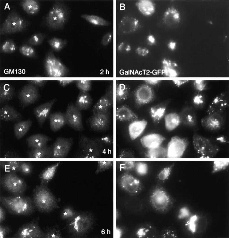 Figure 10.