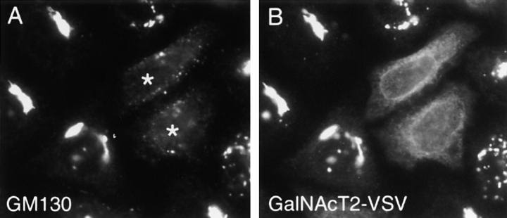 Figure 11.