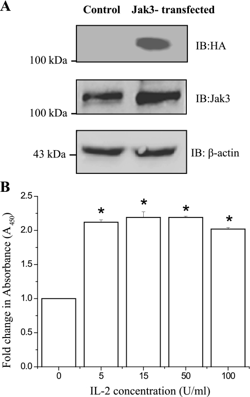 Fig. 8.