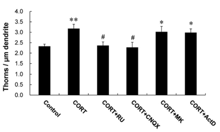 FIGURE 3