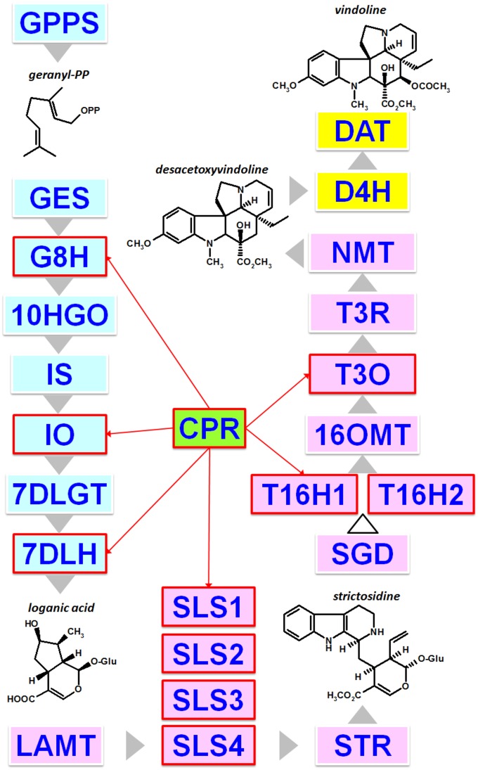 Figure 1.