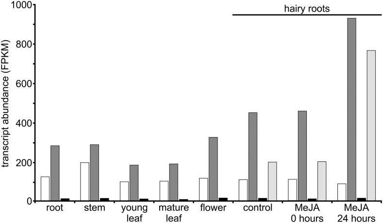 Figure 4.