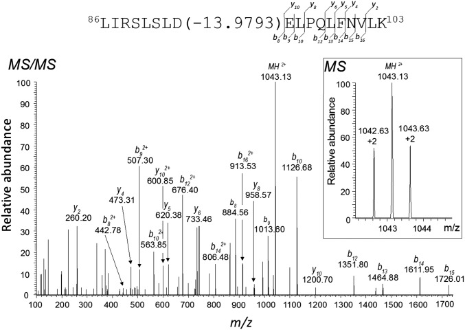 Fig. 4.