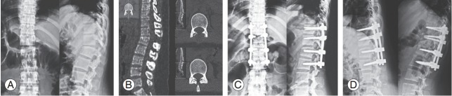 Fig. 2.