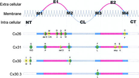 Figure  2