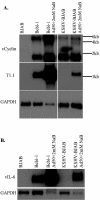 FIG. 6.